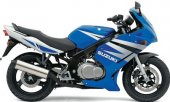 2004 Suzuki GS 500 F photo